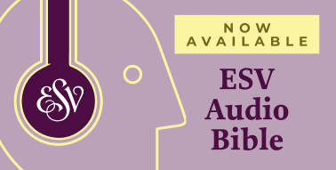 Image 15: Narrated ESV Audio Bible