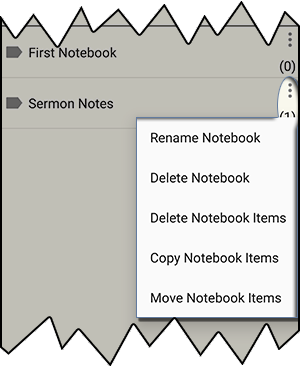 Edit Notebooks