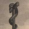 Serpent of Bronze