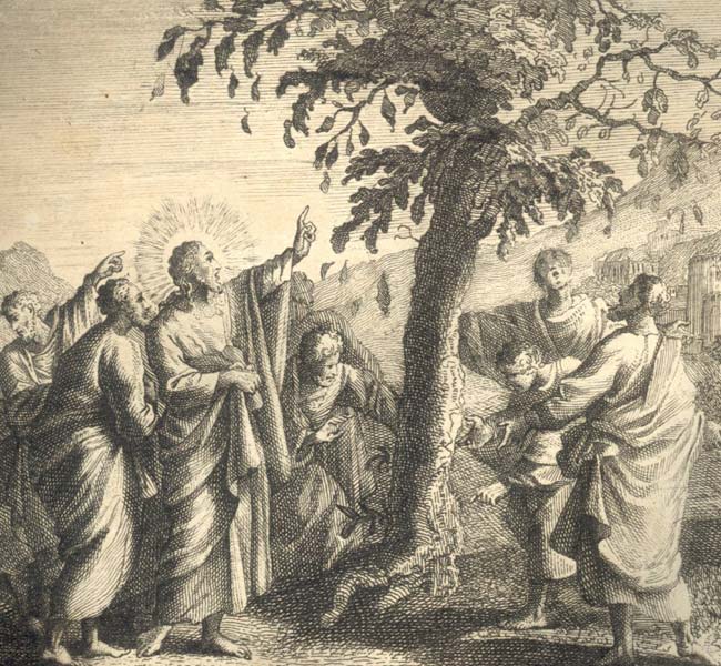 Jesus Wilts the Fig Tree The Gospels Image