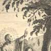 Jesus Wilts the Fig Tree