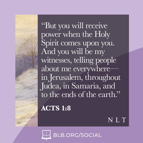 act 8.1.1