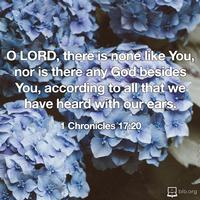 1 Chronicles 17:20 (NKJV)