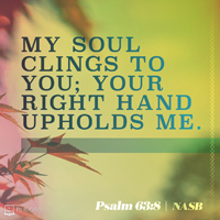 Psalm 63:8 (NASB95)