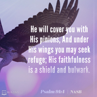 Psalm 91:4 (NASB95)