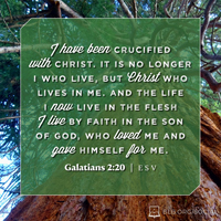 Galatians 2:20 (ESV)
