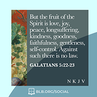 Galatians 5:22-23 (NKJV)