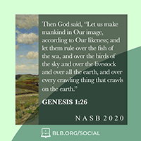 Genesis 1:26 (NASB20)