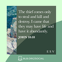 John 10:10 (ESV)