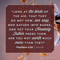 Matthew 6:26 (NASB95)