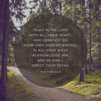 Proverbs 3:5-6 (NKJV) - V2