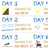 God's Dialogue with Job Retells All Six Days of Creation