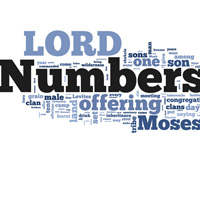 Numbers - Word Cloud