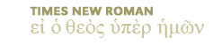 Times New Roman font