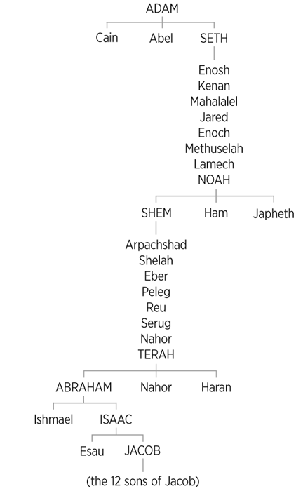 The Genealogies of Genesis