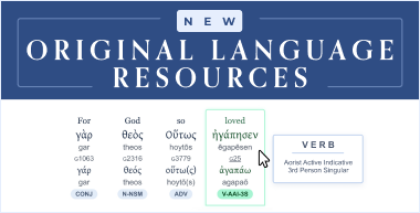 Image 4: New! Inline Interlinear Language Tool and More