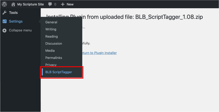 BLB ScriptTagger Settings