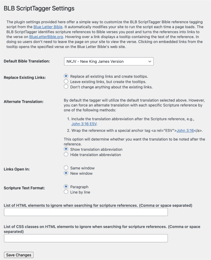 BLB ScriptTagger Options