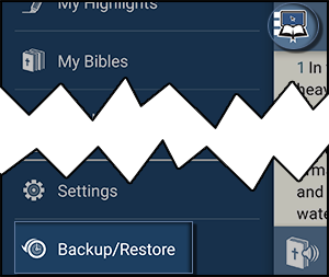 Backup/Restore in the Navigation Menu