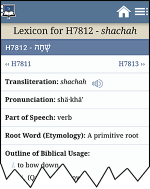 Lexicon