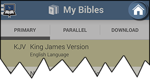 My Bibles Home key