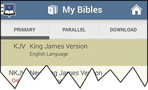 My Bibles Menu