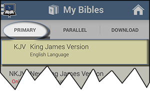 Choose your default Bible