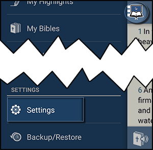 Settings in the Navigation Menu