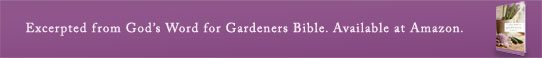 God’s Word for Gardeners