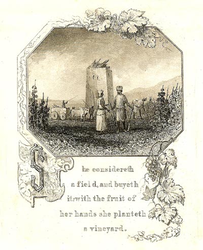 Image-SHE CONSIDERETH A FIELD, AND BUYETH IT