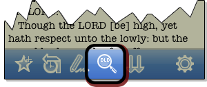 Magnifying glass icon