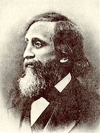 Samuel Johnson (1822-1882)