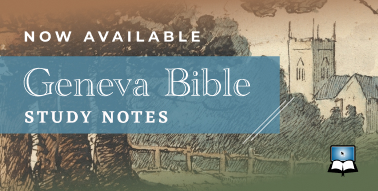 Image 8: Geneva Bible Study Notes Now Available