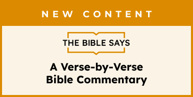 Image 1: Introducing The Bible Says!