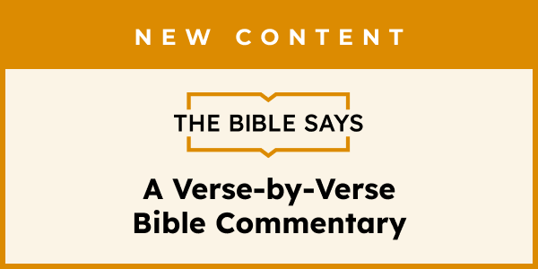 Image 1: Introducing The Bible Says!