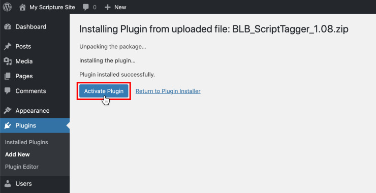 BLB ScriptTagger Activation